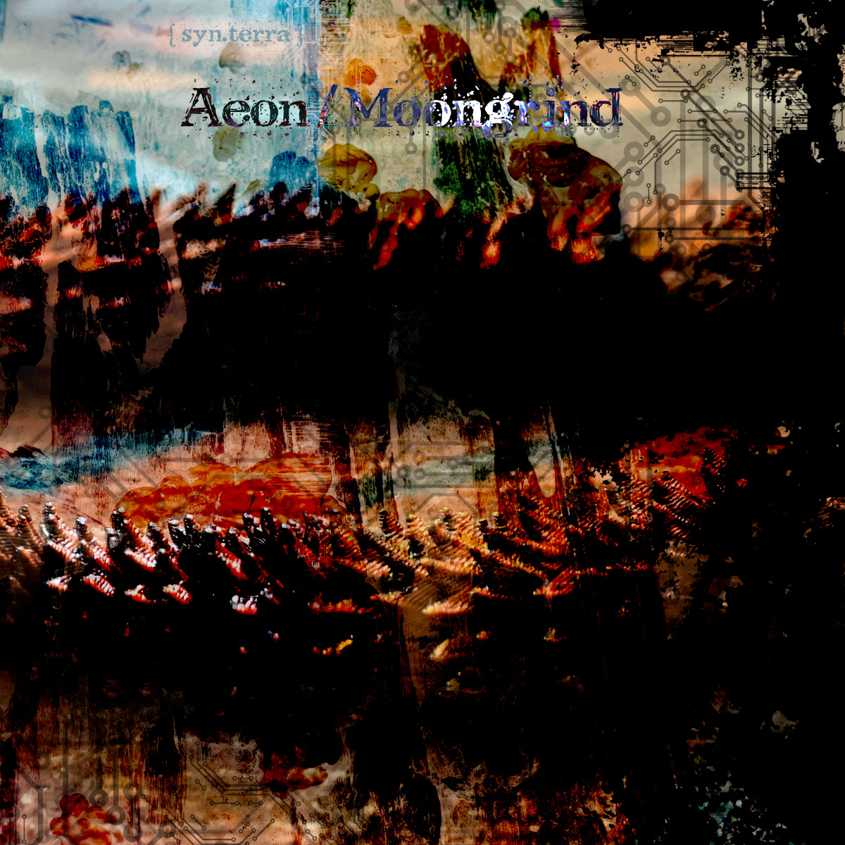 dark red and black scales